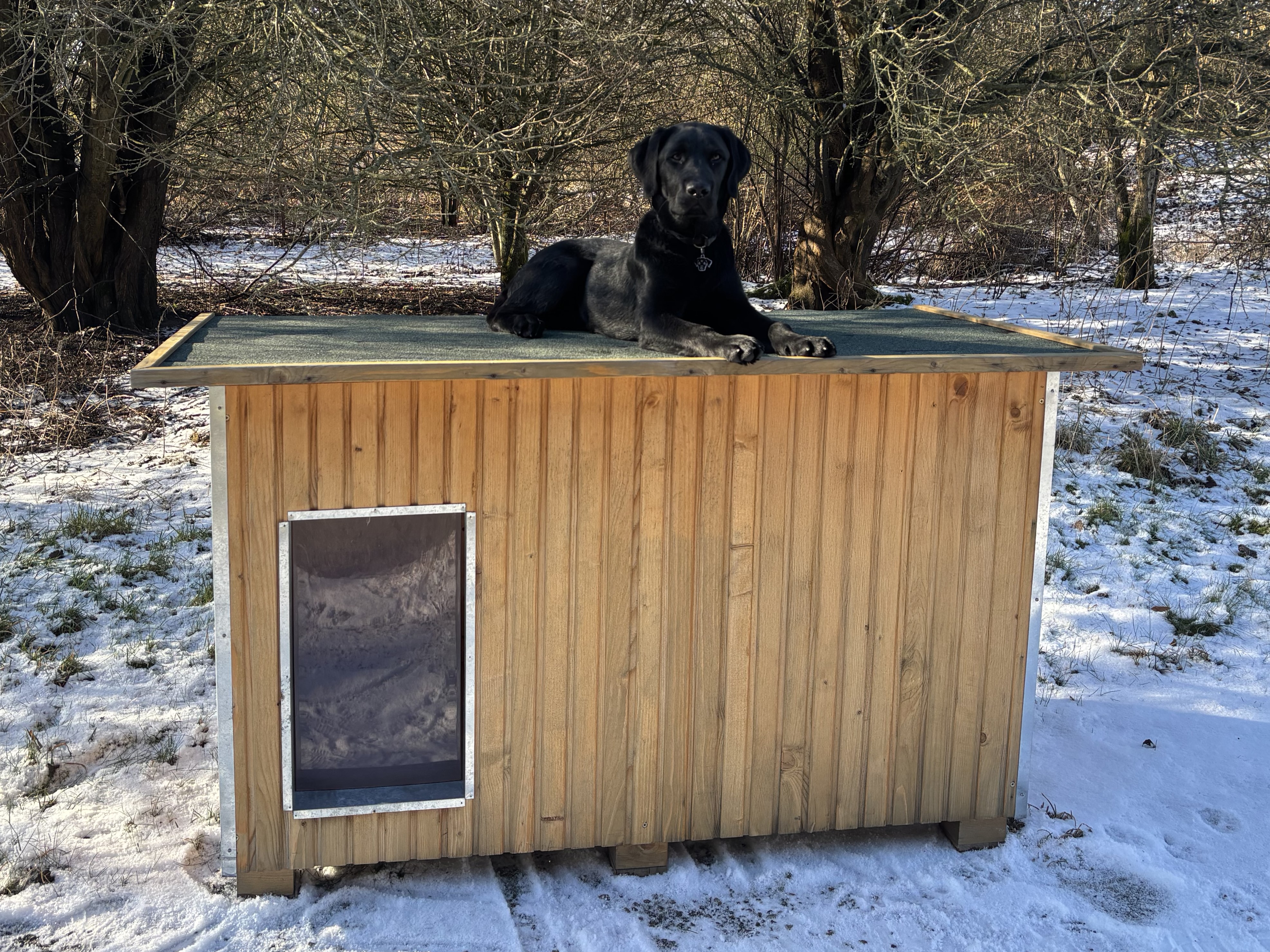 Schwarzer Hund entspannt sich auf einer Luxus-Hundehütte in einer Winterlandschaft.