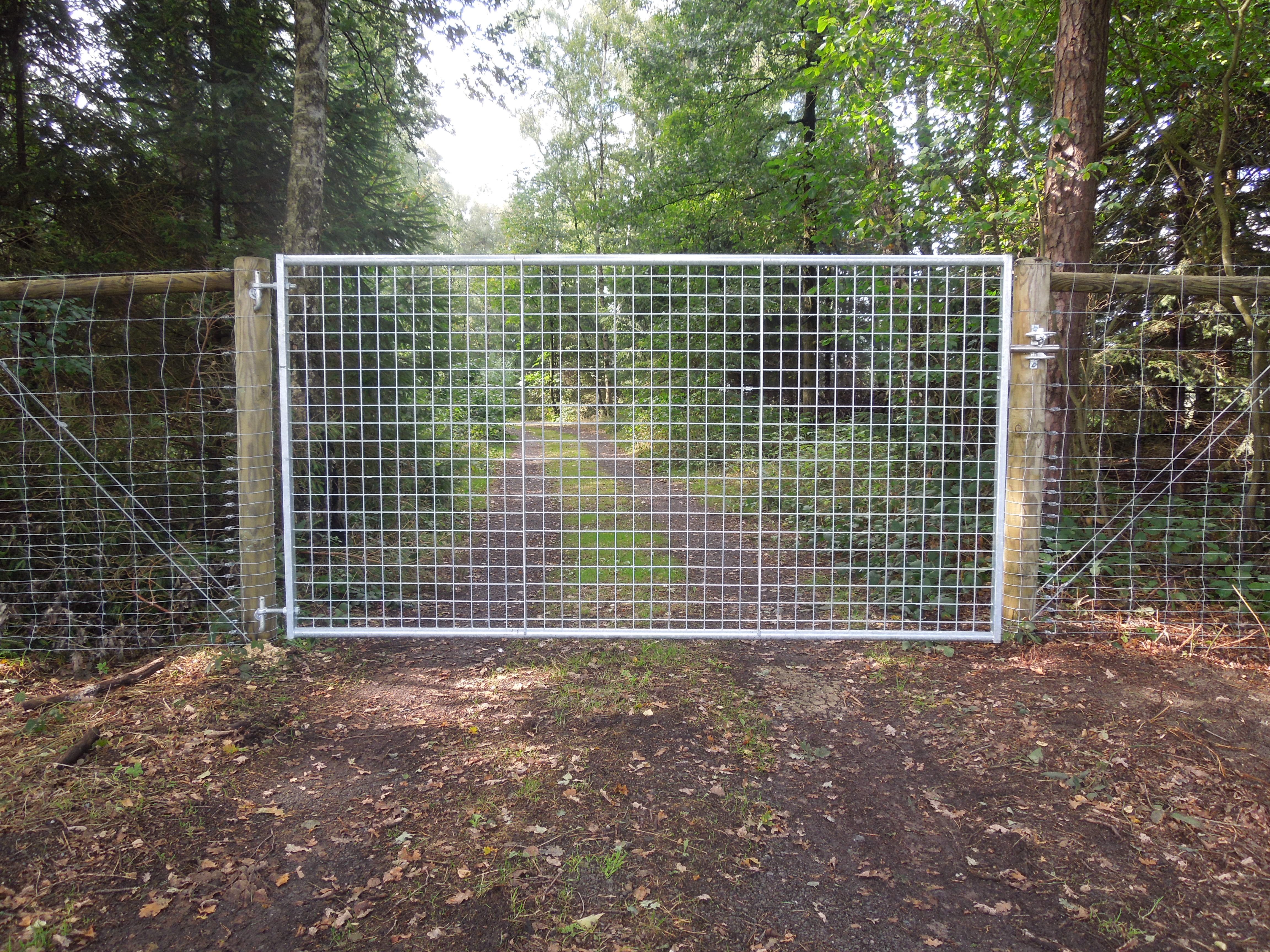 Im Vordergrund ist ein leichtgewichtiges Tor mit einem Gitter zu sehen. Dahinter ist ein Weg in einem Wald