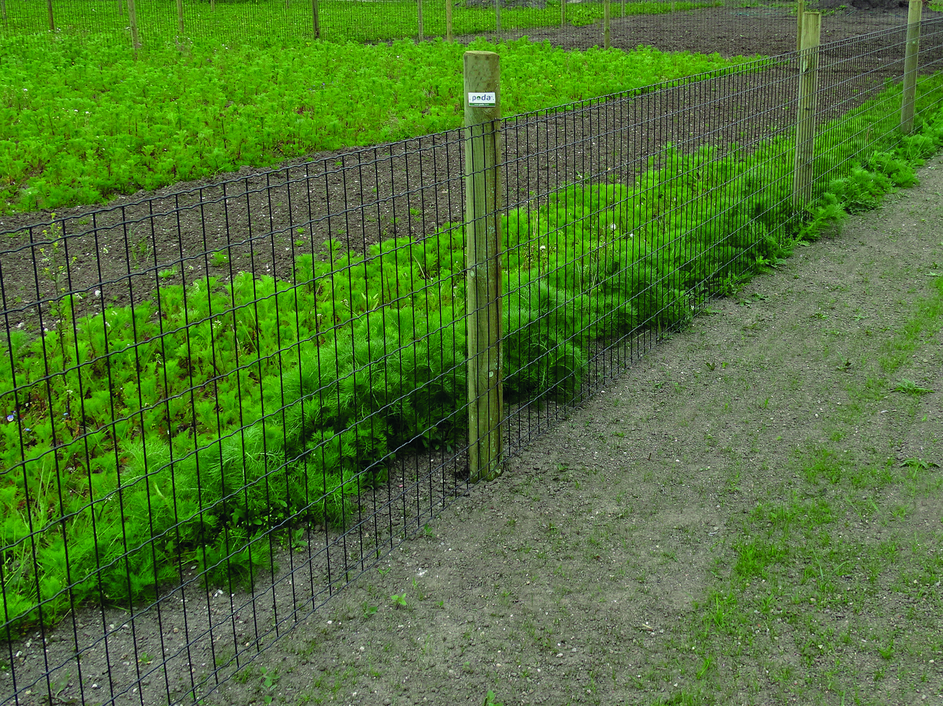 Lux-Gartenzaun trennt zwei Grünflächen