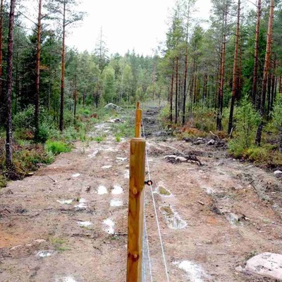 Ein Forstzaun trennt zwei Waldgebiete.