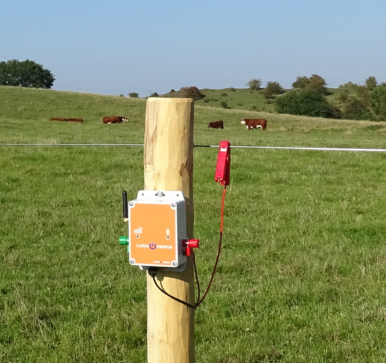 LUDA FenceAlarm auf einem Pfosten zur Überwachung der Zaunspannung auf einer Weide mit Kühen.