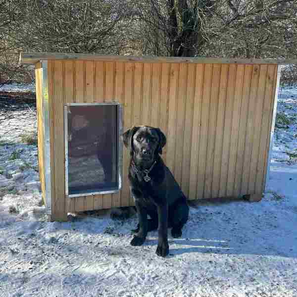 Schwarzer Hund sitzt vor einer Luxus-Hundehütte in einer Winterlandschaft mit Schnee auf dem Boden.