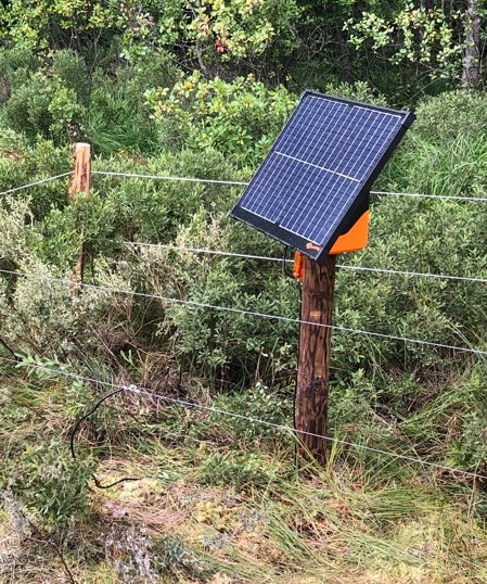 Solarbetriebene Weidezaungerät, montiert auf einem FaunaWood-Pfosten in einem Naturgebiet.