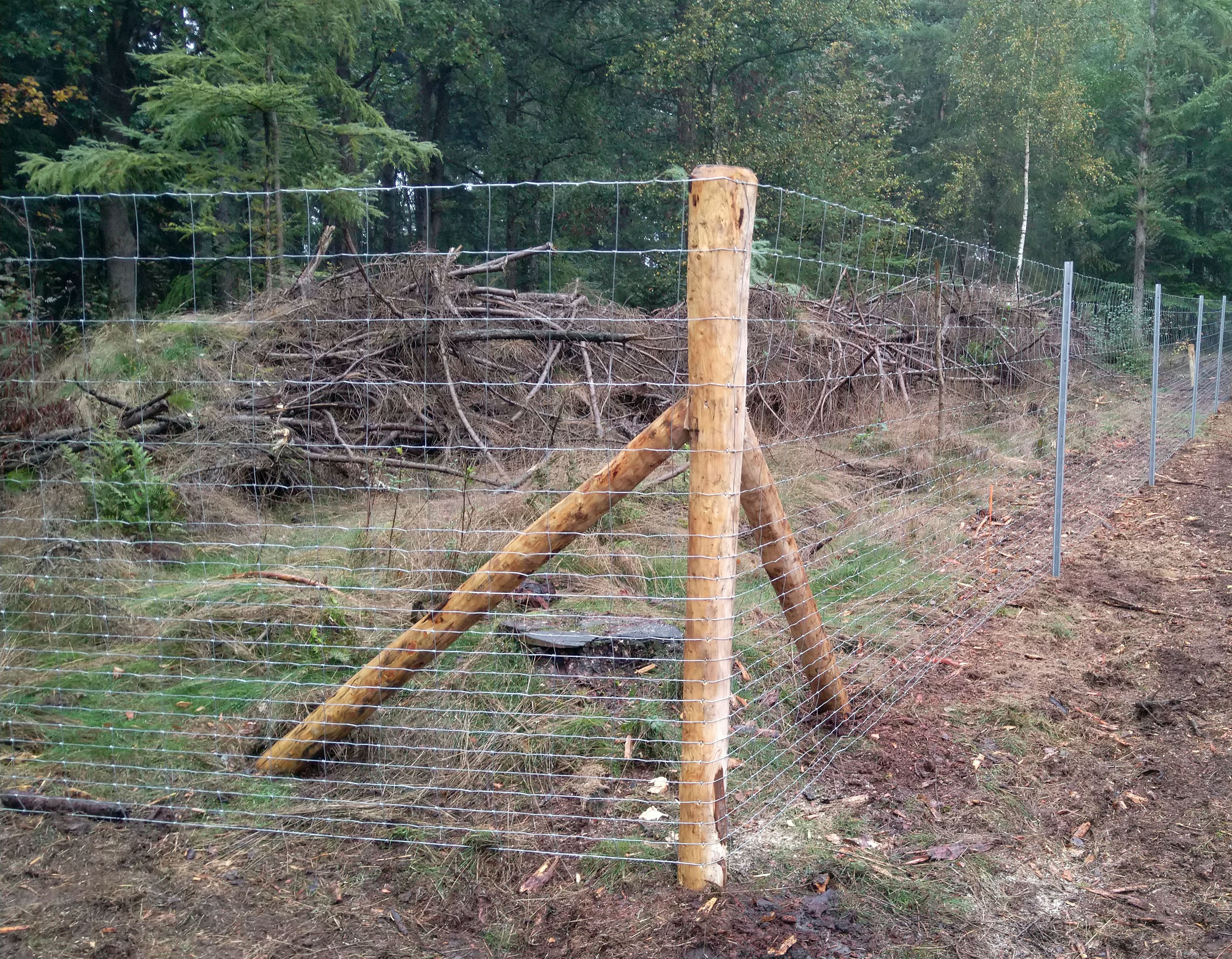Die Ecke eines Waldzauns mit einem Holzpfosten. Hergestellt aus Maschendrahtzaun.