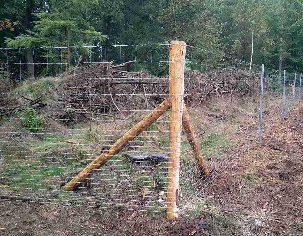 Die Ecke eines Waldzauns mit einem Holzpfosten. Hergestellt aus Maschendrahtzaun.