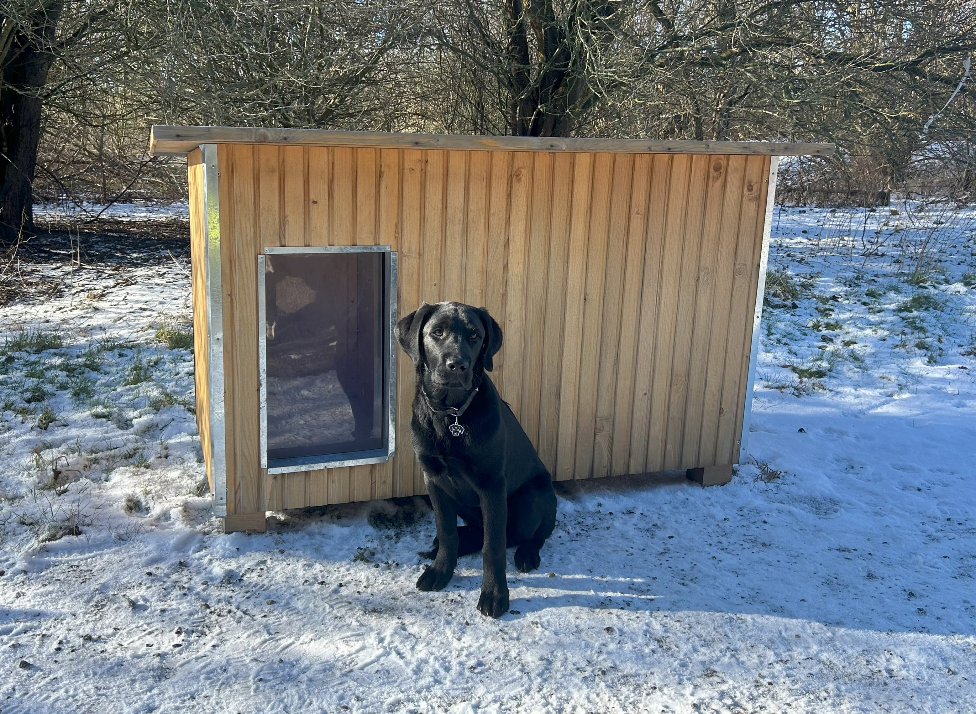 Schwarzer Hund sitzt vor einer Luxus-Hundehütte in einer Winterlandschaft mit Schnee auf dem Boden.