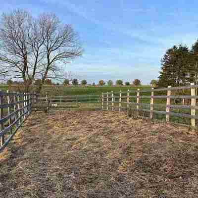 Zaunelemente mit Stahltüren zum Ein- und Aussteigen