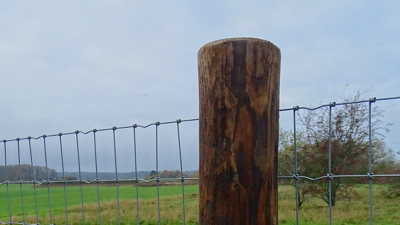 FaunaWood Holzpfosten mit befestigtem Drahtzaun in einer offenen Landschaft.