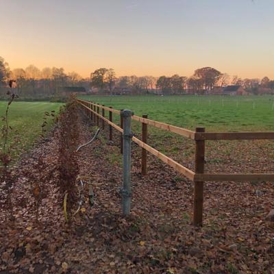 Holzzaun mit drei Riegeln und Elektrodraht entlang eines Feldes im Herbst
