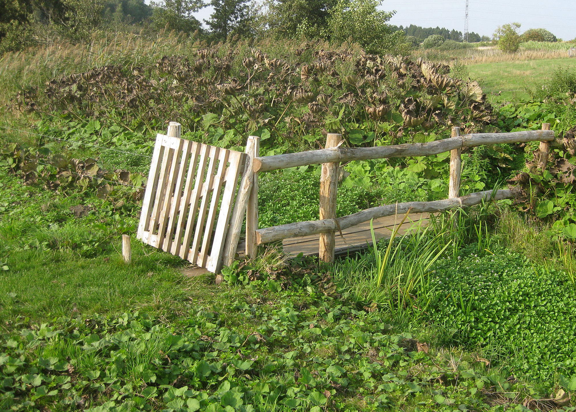 Ein Holztor öffnet sich zu einem Holzsteg, der das Publikum über ein sumpfiges Gebiet führt