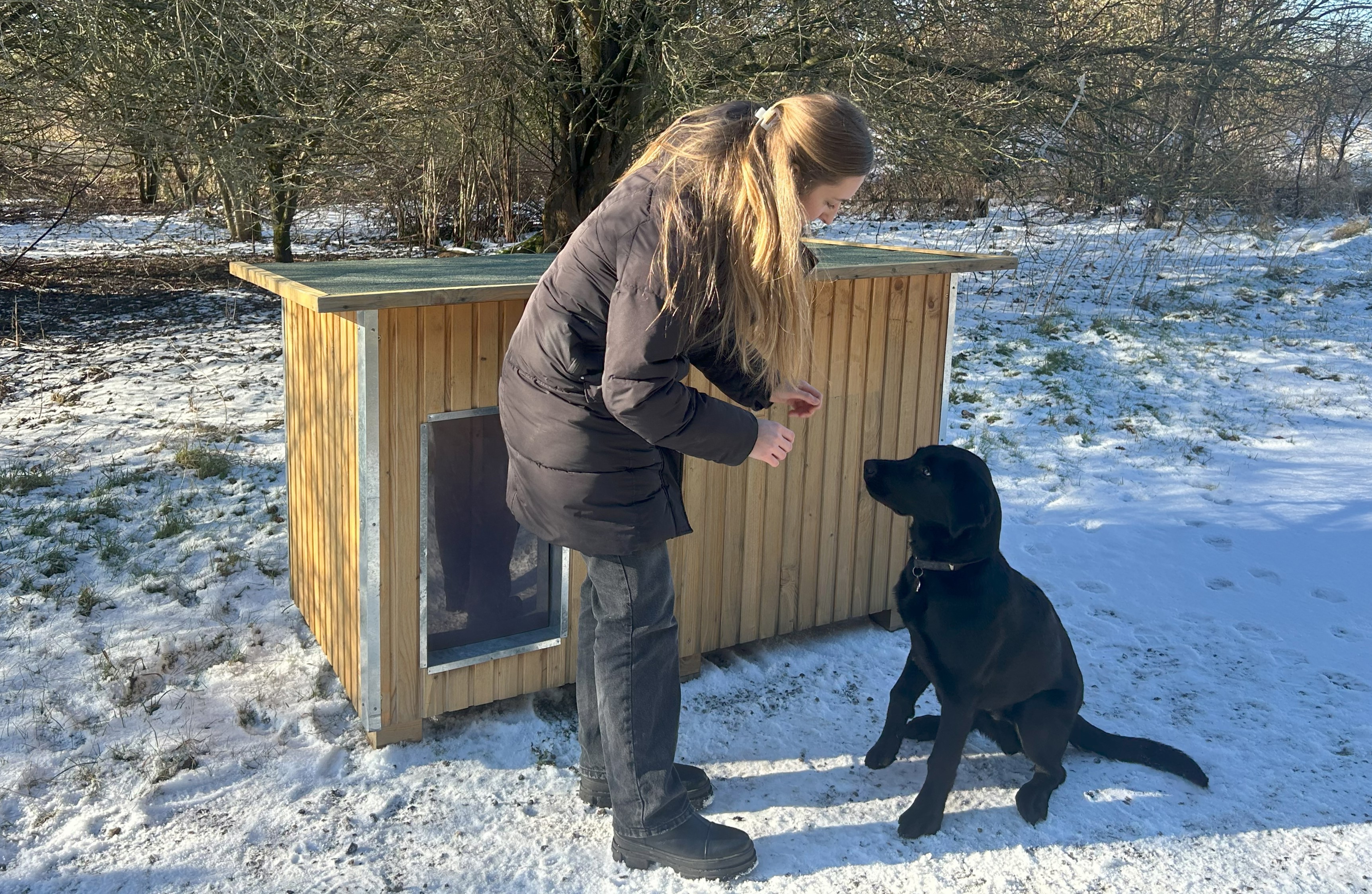 Frau gibt einem schwarzen Hund ein Leckerli vor einer Luxus-Hundehütte in einer Winterlandschaft mit Schnee auf dem Boden.