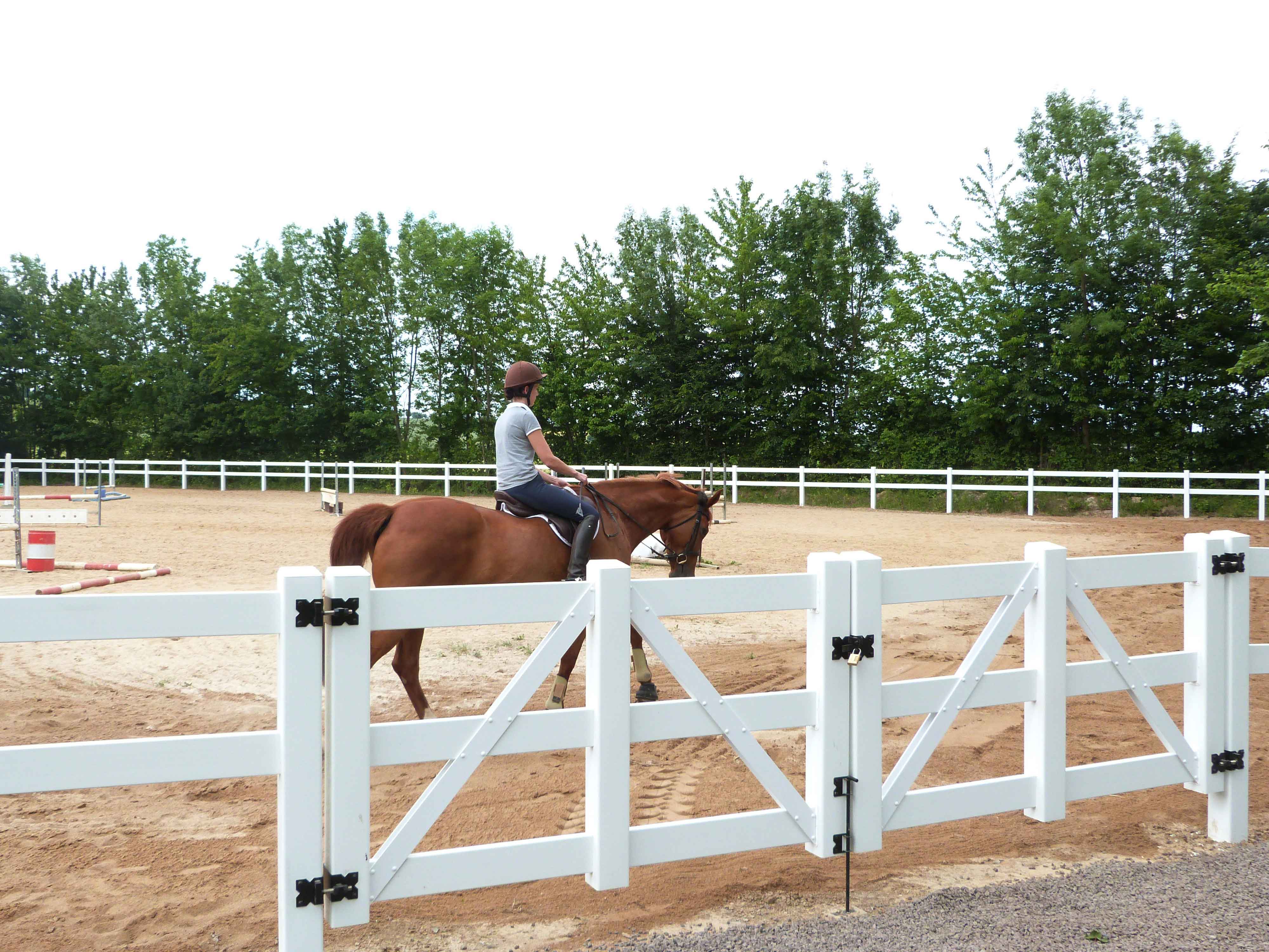 Eine Reiterin führt ihr Pferd auf einem Springplatz. Die Arena ist mit einem weißen Kunststoffzaun für Pferde eingefasst.