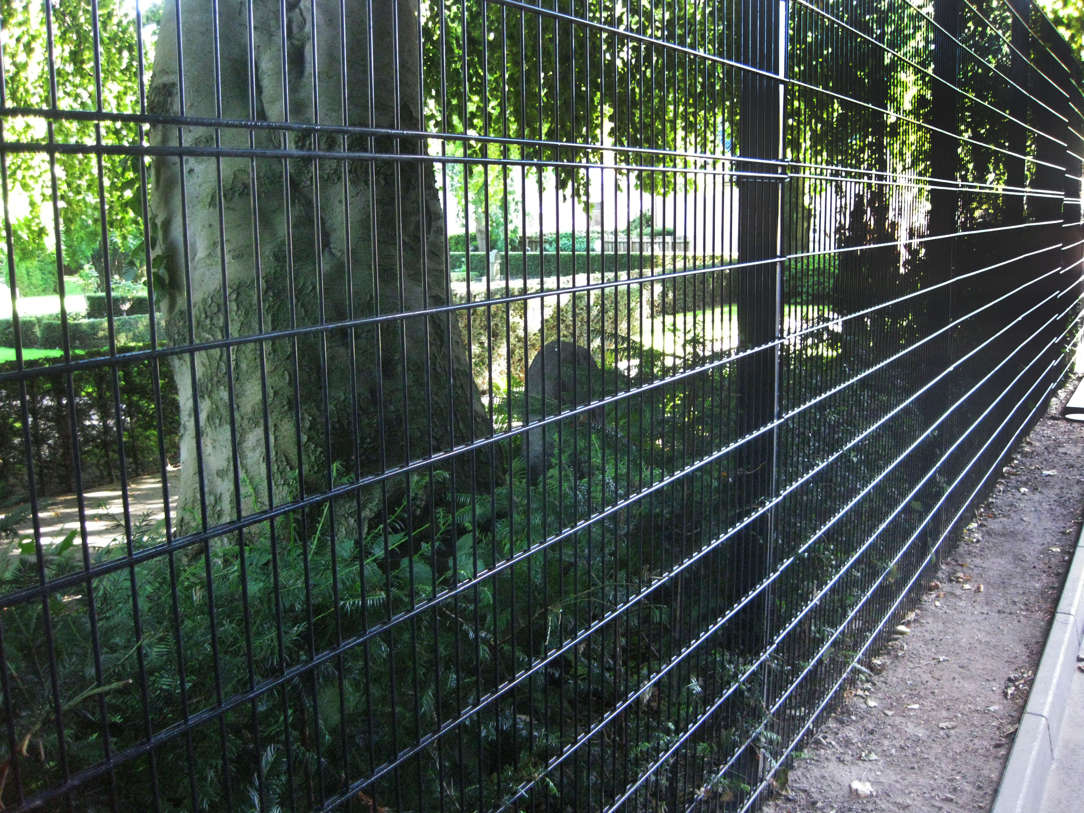 Ein schwarzer Doppelstabmattenzaun schützt einen Friedhof