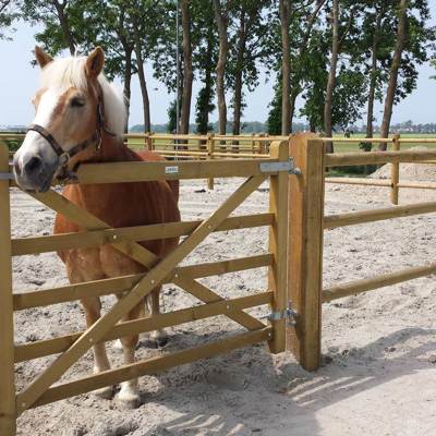 Ein braunes Pferd steht auf seiner Koppel und blickt auf ein „Country House“-Tor