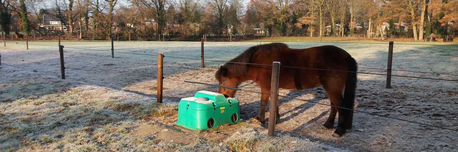 An einem Wintermorgen trinkt ein Pferd aus einem Trogtränke. Das Pferd steht hinter einem Zaun