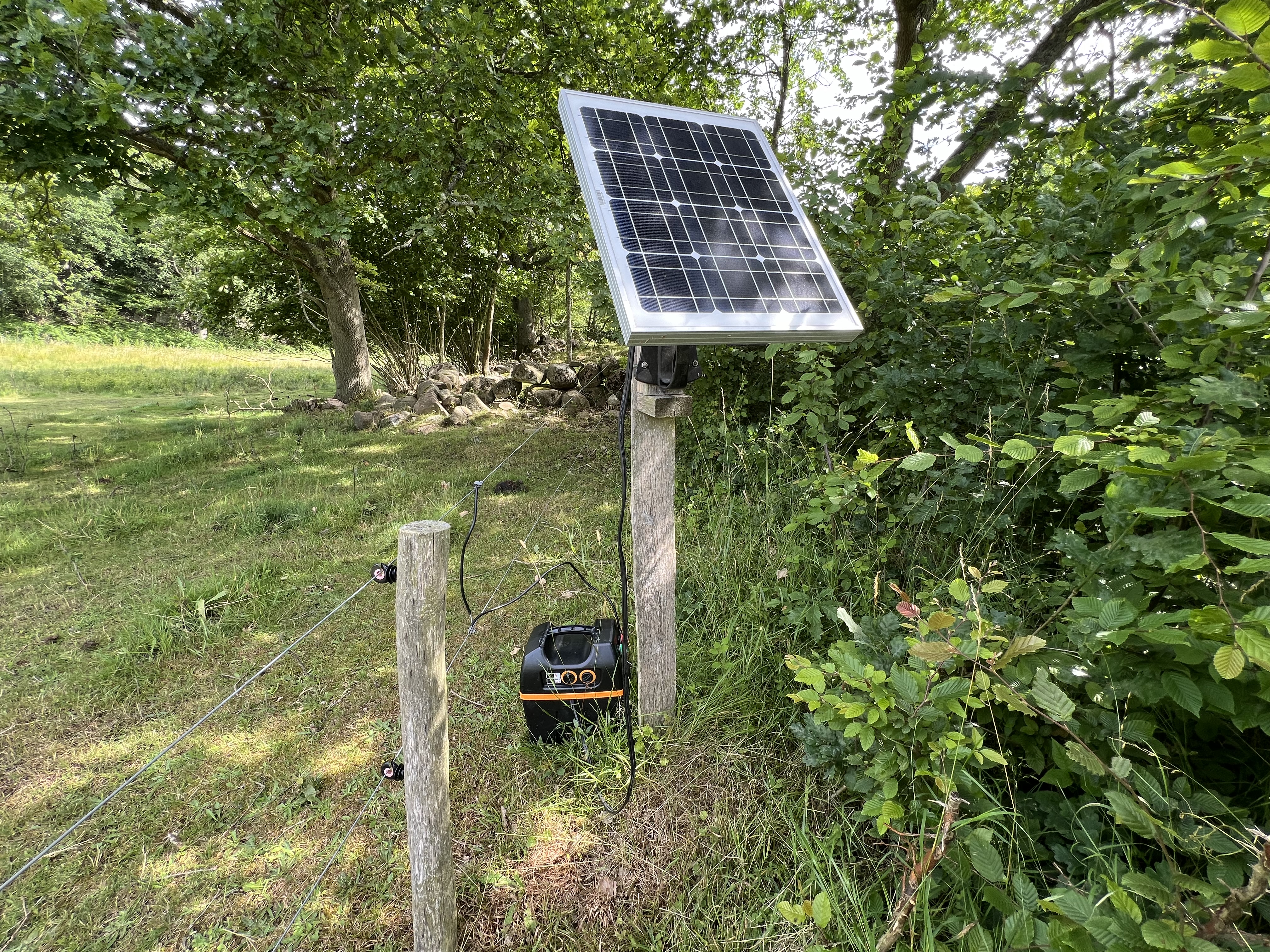 Ein Solarpanel, das mit einem Weidezaungerät verbunden ist, montiert an einem Pfahl am Waldrand neben einem Elektrozaun in grüner Umgebung.