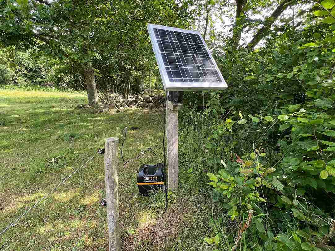 Ein Solarpanel, das mit einem Weidezaungerät verbunden ist, montiert an einem Pfahl am Waldrand neben einem Elektrozaun in grüner Umgebung.