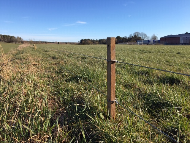 Ein Elektrozaun schützt ein Feld vor Wildschweinen.