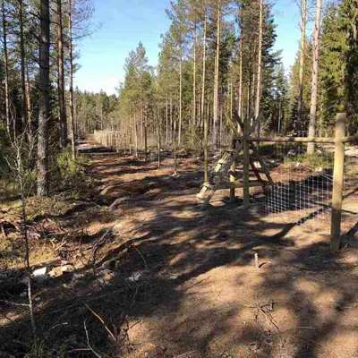 Ein Forstzaun sichert ein Waldgebiet gegen Wildtiere und Eindringlinge.