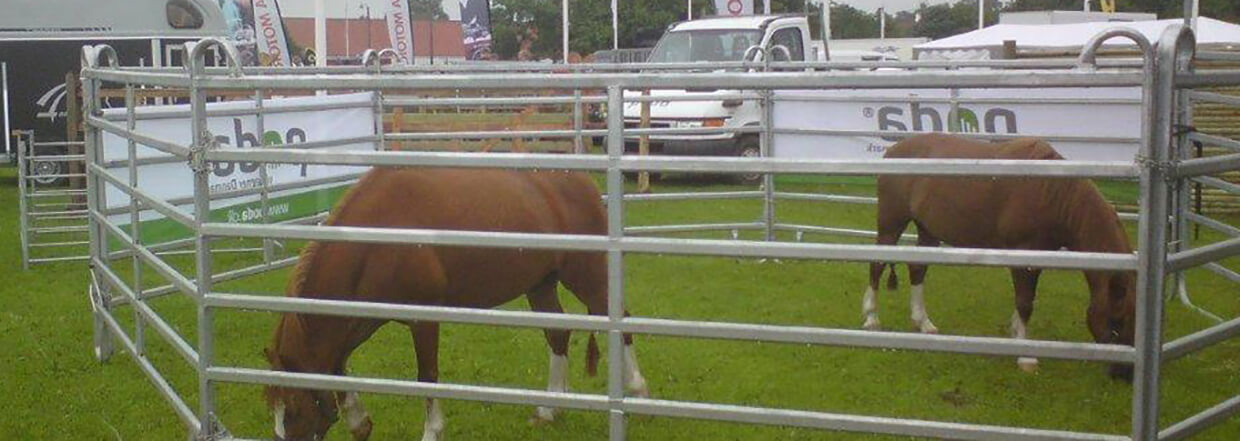 Zwei Ponys grasen in einem Pferch bei einer Tierschau.