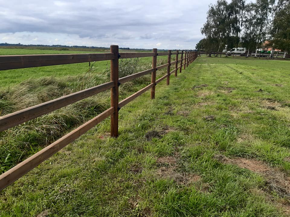 Ein Lattenzaun trennt eine Pferdekoppel von einem Feld.