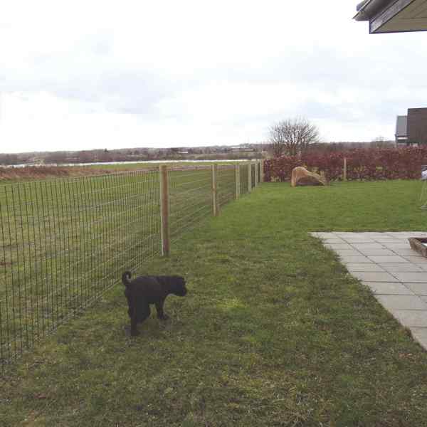 Ein kleiner schwarzer Hund läuft im Garten herum, der mit dem Gartenzaun von Lux eingezäunt ist.