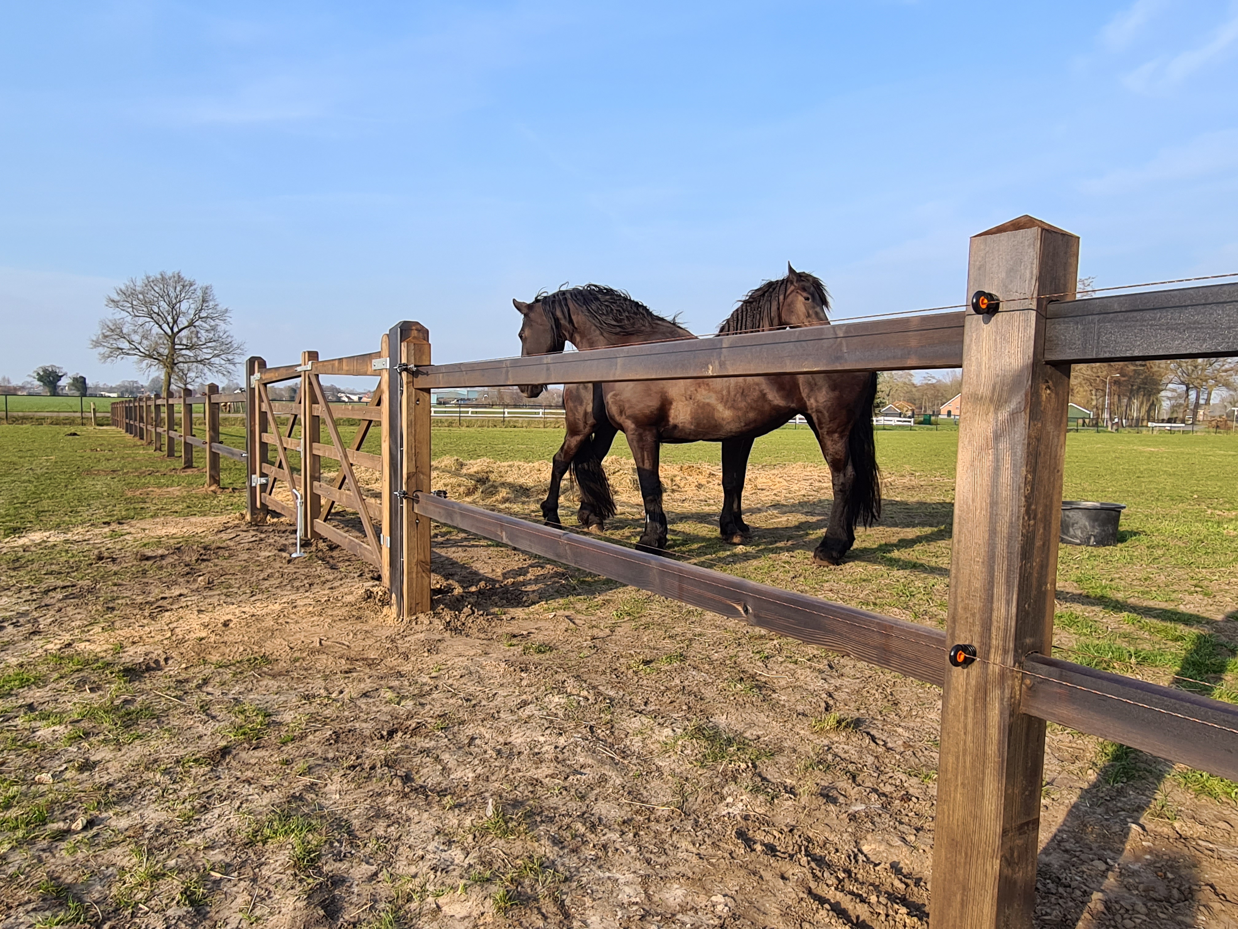 HAOBIN 60 StüCk Corral Fechten Panel ZubehöR Kunststoff Zaun Pferd