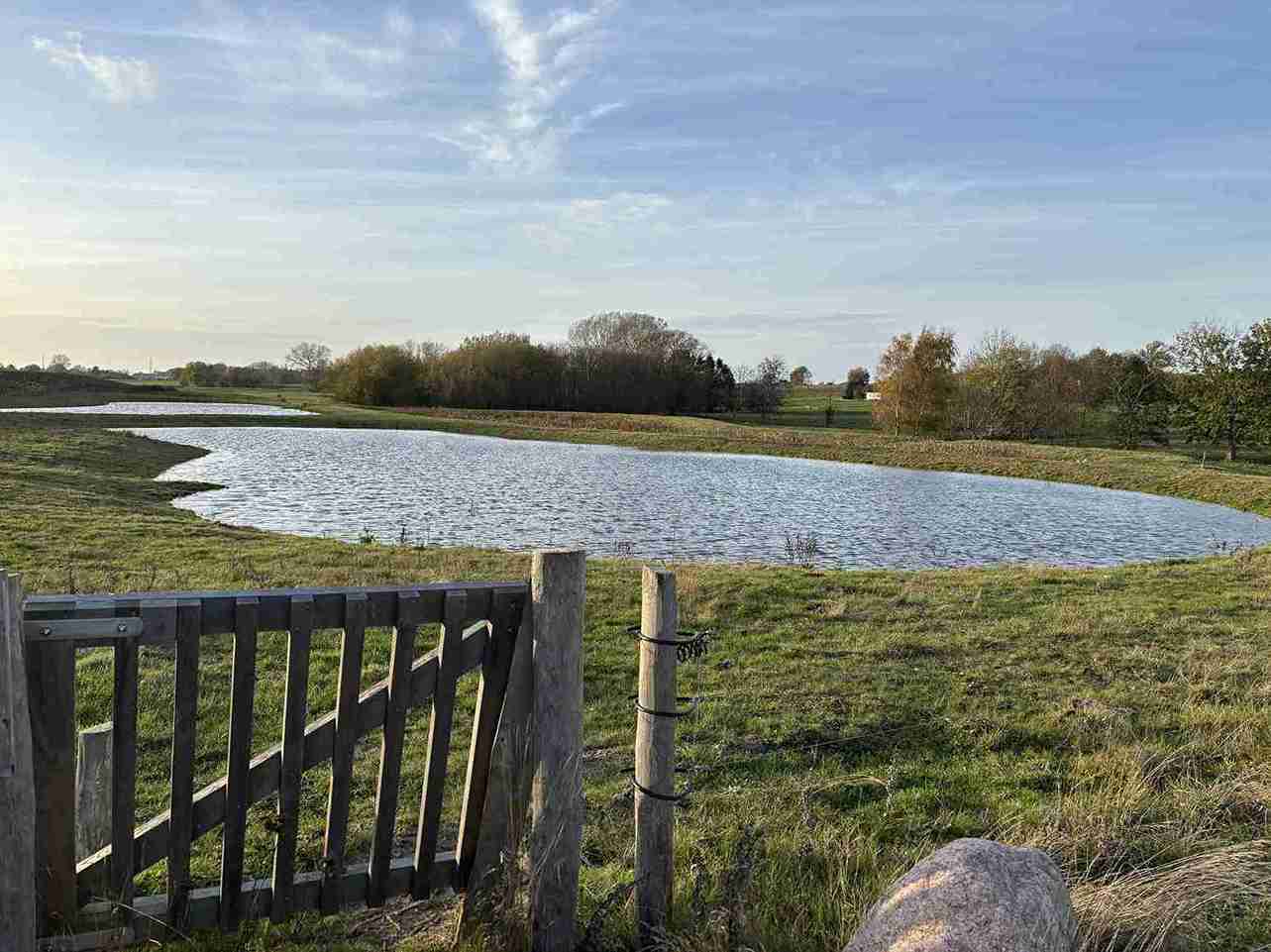 Das Klappentor führt in ein Gehege aus Elektrozaun. In der Mitte des Geheges ist ein See