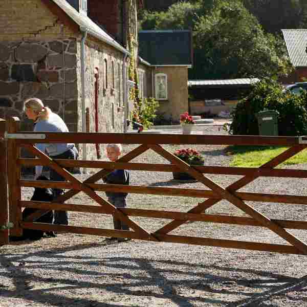 Ein Hund, eine Frau und ein Junge stehen hinter einem „ Country House “ Tor