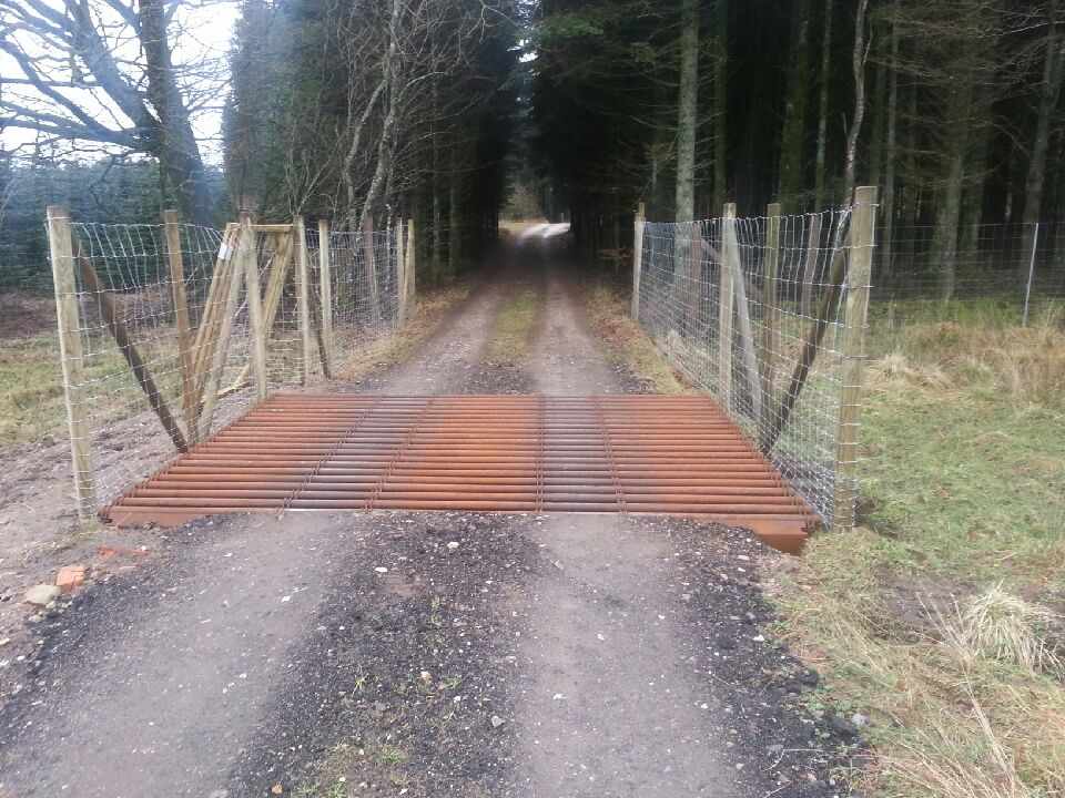 Ein Weiderost am Eingang eines Waldes