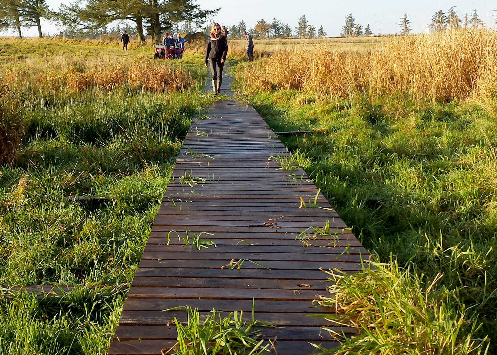 Eine Fußgängerbrücke hilft, ein sumpfiges Gebiet begehbar zu machen