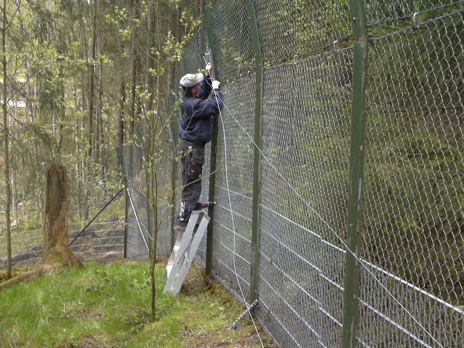 Ein Mann installiert elektrische Drähte auf dem hohen Zaun eines Zoos.