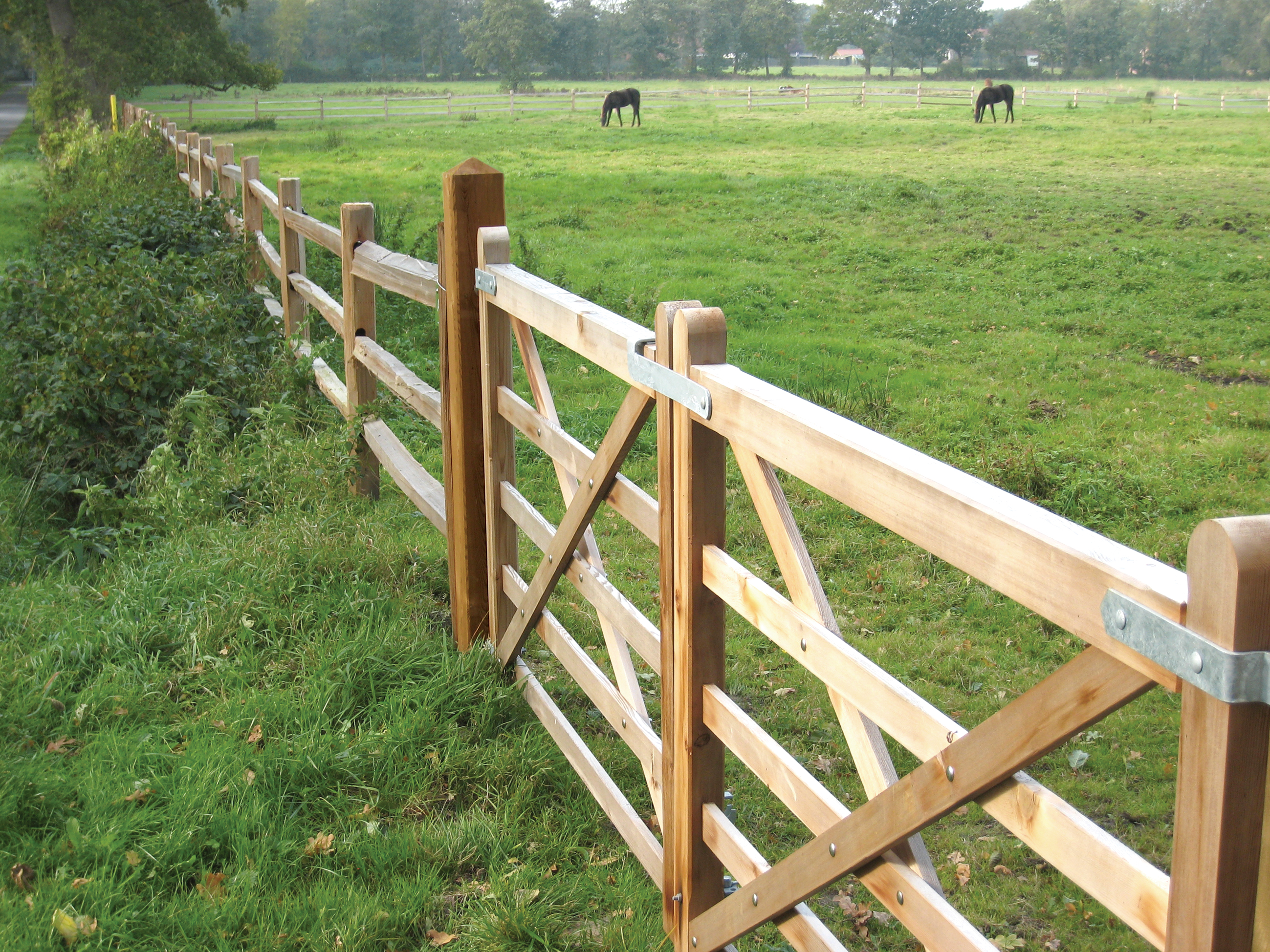 Zwei Holztore und ein rustikaler Pferdezaun aus Zedernholz bilden eine Pferdekoppel, auf der zwei Pferde grasen.
