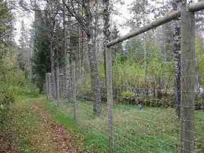 Man sieht einen Wildzaun, der das Wild im Wald hält
