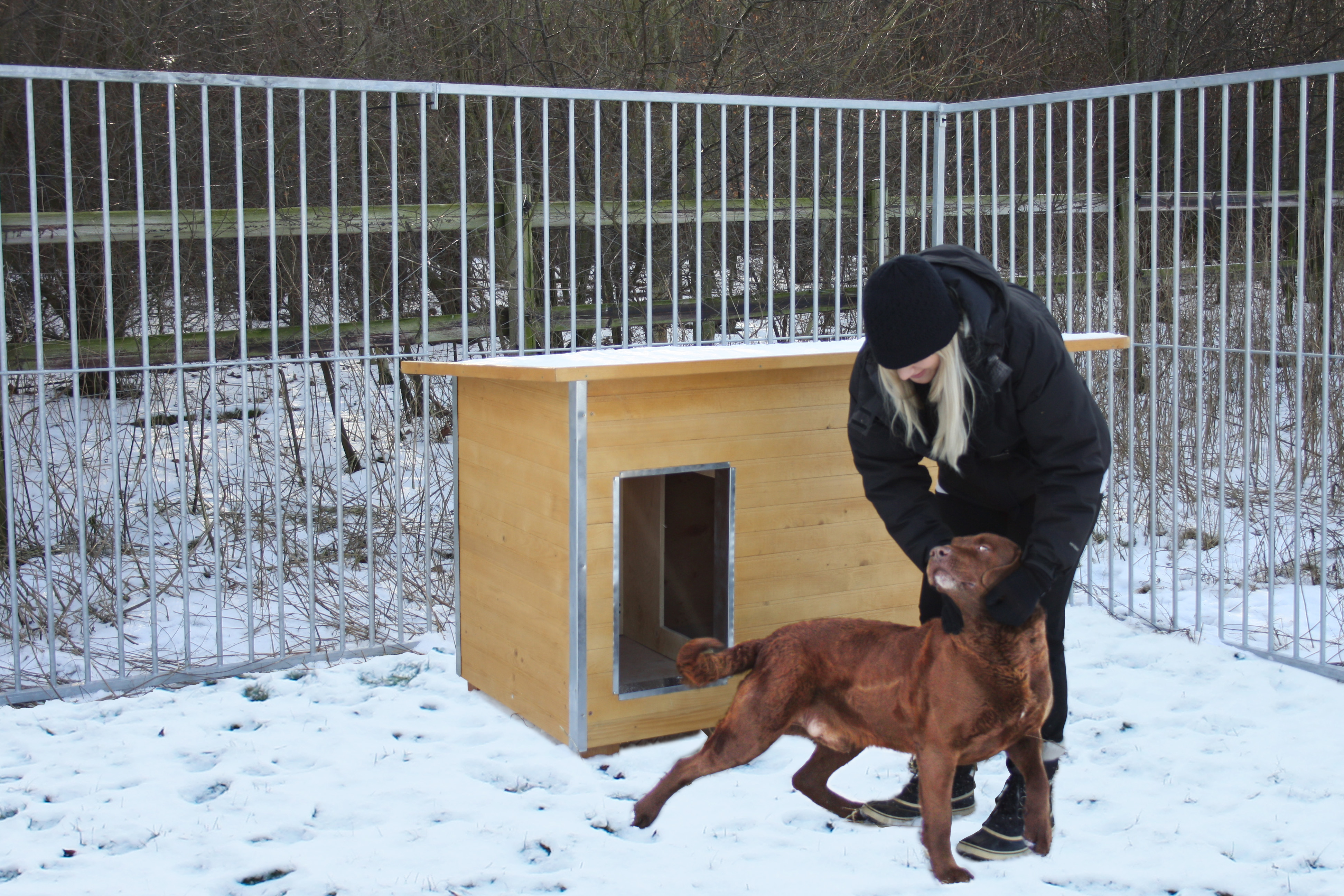 Eine Frau streichelt einen Hund auf einem verschneiten Hundeplatz. Hinter ihnen steht eine hölzerne Hundehütte.