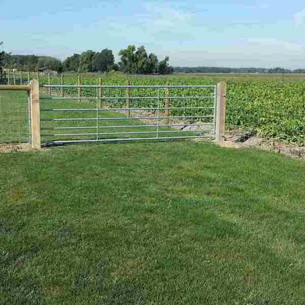 Zusammen mit einem Maschendrahtzaun wird eine Grünfläche mit einem Stahltor eingezäunt