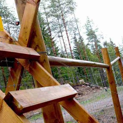 Im Vordergrund ist eine Treppe zu sehen, über die man einen Waldzaun überqueren kann.