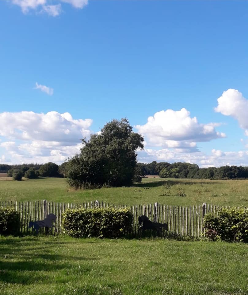 Ein Poda-Kastanienzaun trennt einen Garten von einem Naturgebiet