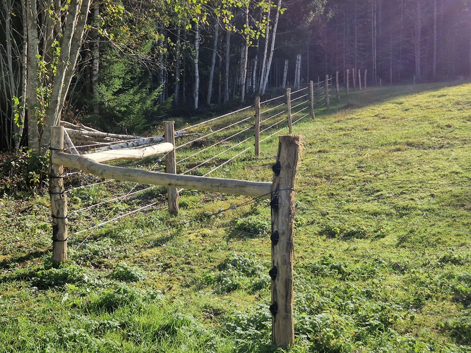 Dies ist die Ecke eines wolfssicheren Zauns mit fünf Reihen von stromführenden Drähten