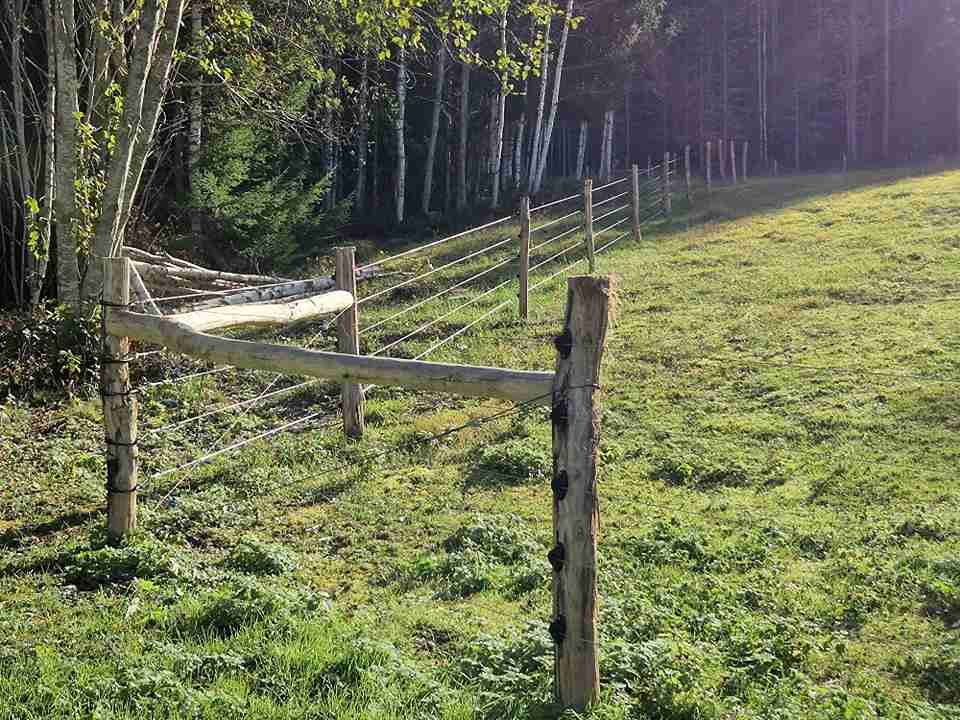 Dies ist die Ecke eines wolfssicheren Zauns mit fünf Reihen von stromführenden Drähten