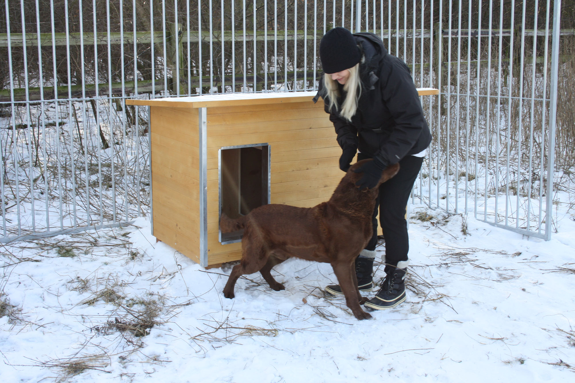 Eine Frau streichelt einen Labrador auf einem verschneiten Hundeplatz. Hinter ihnen steht eine hölzerne Hundehütte.