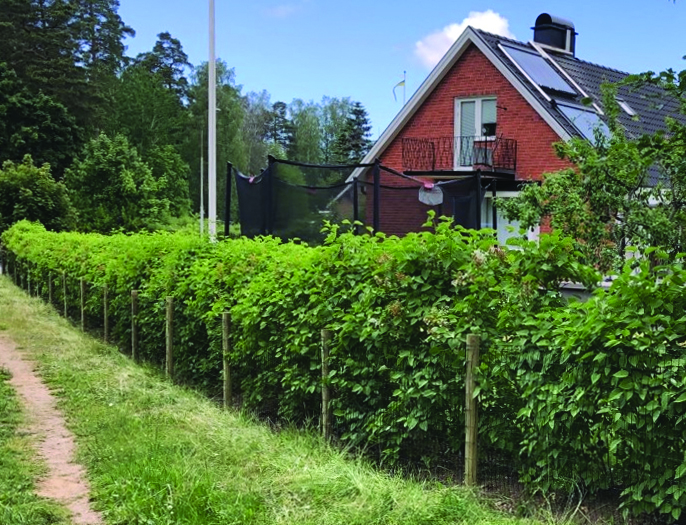 Ein Lux-Gartenzaun umschließt einen schönen Garten mit Trampolin, Fahnenmast und Pflanzen