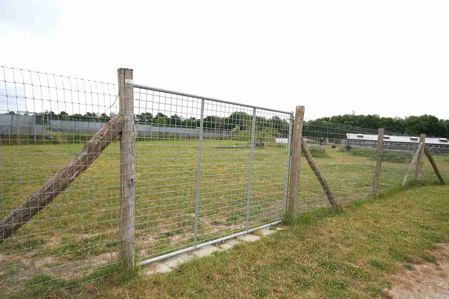 Ein hohes Stahltor ermöglicht den Zugang zu einem Hundeauslauf.
