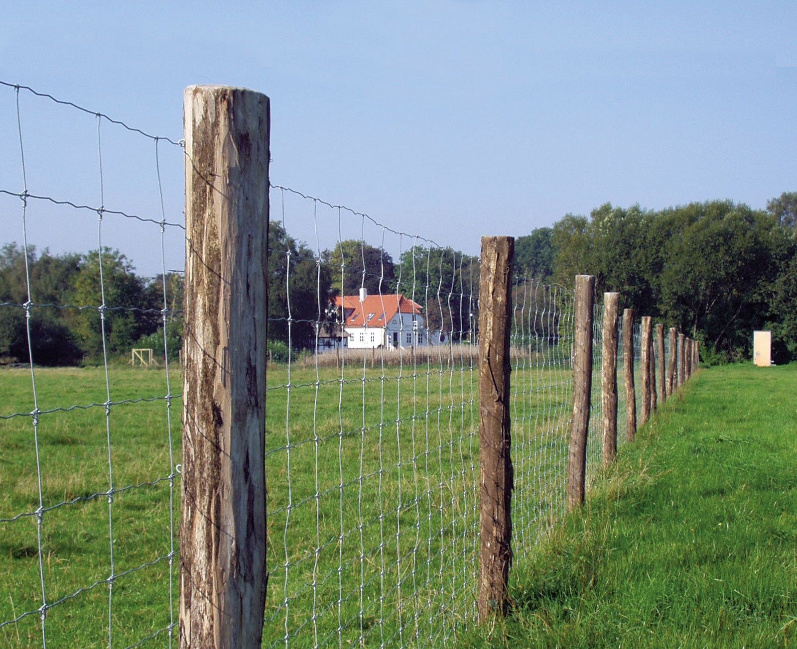 Ein Forstzaun sichert ein Waldgebiet gegen Wildtiere und Eindringlinge.