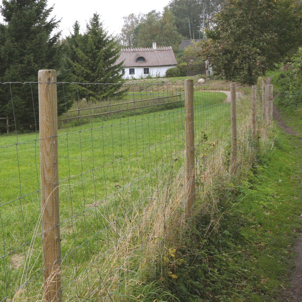 Ein Wildschutzzaun hält Rehe und andere Wildtiere von einem Garten fern.