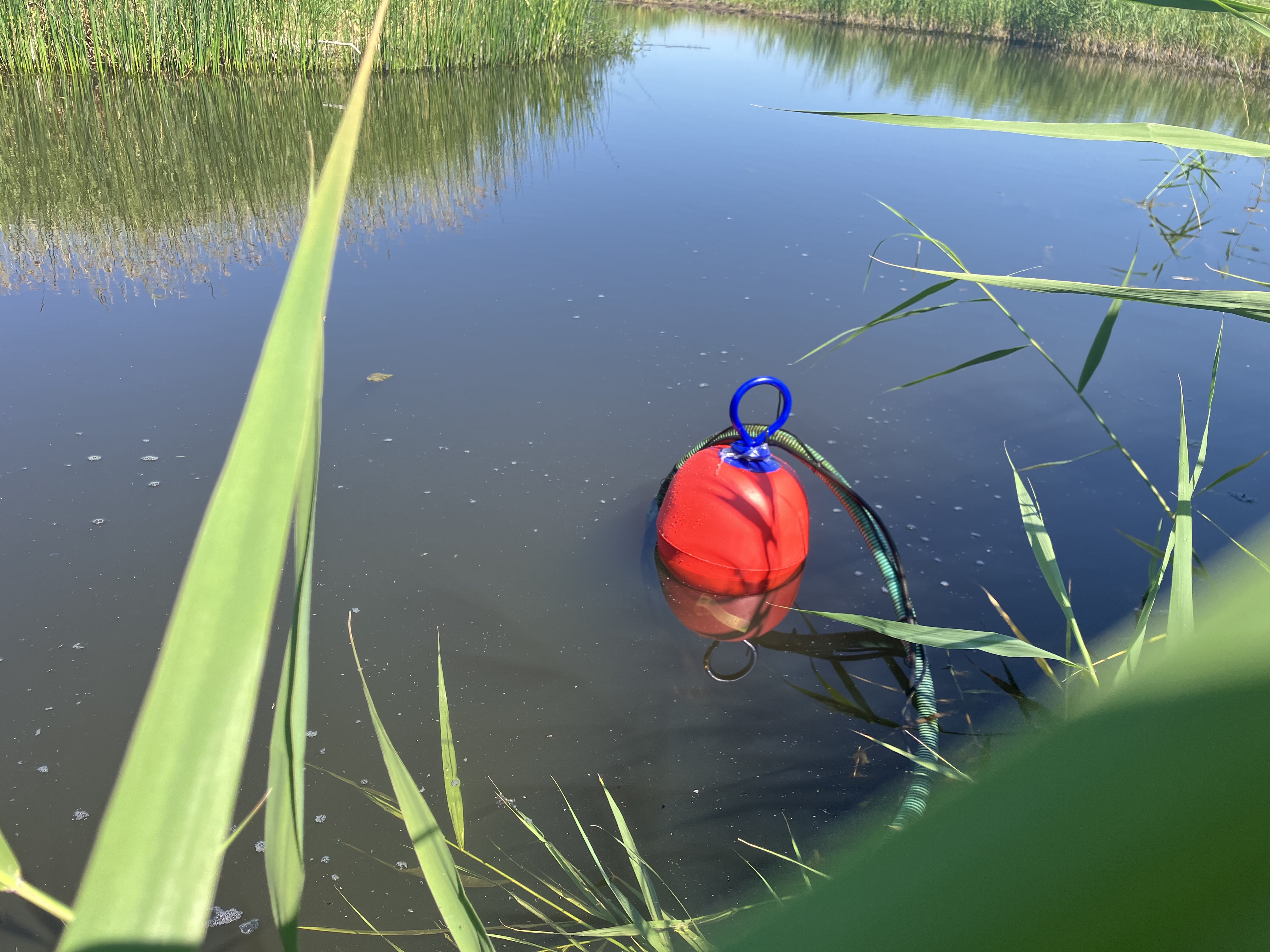 Roter schwimmender Wasseransaugfilter mit Schlauch in einem Bach, umgeben von Schilfgras