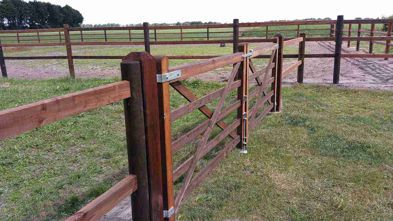 Ein Pferdezaun trennt zwei Paddocks voneinander. Ein doppeltes Holztor ermöglicht den Zugang zu einem Paddock.