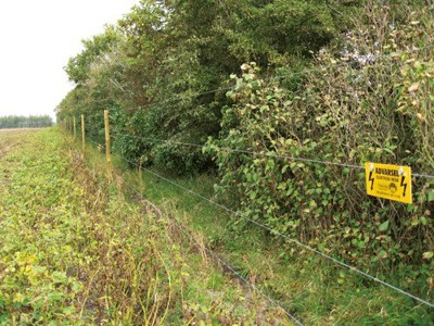 Zaun gegen Rothirsche