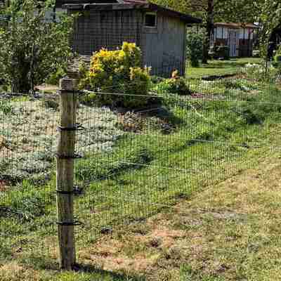 Gitternetzzäune mit Elektrodraht rund um einen Garten mit beplantning und Schuppen