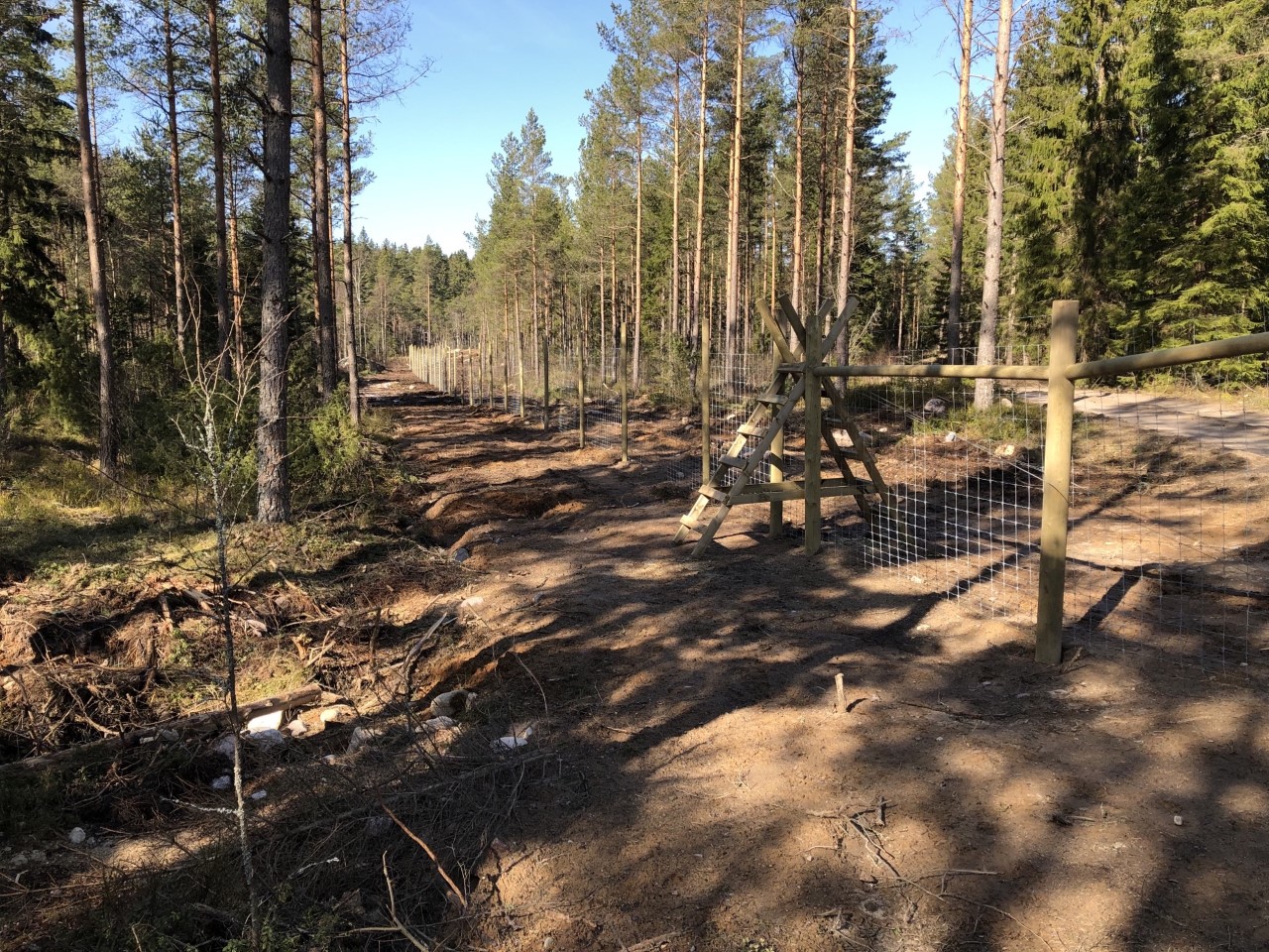 Ein Forstzaun sichert ein Waldgebiet gegen Wildtiere und Eindringlinge.